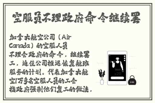 国产精品极品美女自在线观看免费